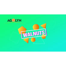 AGOLYN Thin Shell Fresh Delicious Nutrition Chinese Walnut/ Walnut kernel